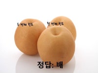 가을 이야기나누기 가을열매와 곡식 | 가을, 곡식, 대추