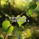 좋아하는 마음 , 사랑하는 마음 ★ 좋아하는 마음 , 사랑하는 마음 ★   1, 좋아하는 마음은 차갑고, 시원한 아이스크림과 같지만,  사랑하는... 