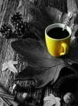 coffee and tea에 있는 Mi Hwa Lee님의 핀 | 커피 타임, 티타임, 커피