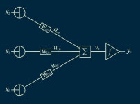 신경 네트워크는 무엇을 배울 수 있습니까?