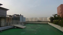 정원 사진 3
