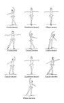 Pin by 예인전통유기공방 on 발레 | Ballet moves, Ballet positions, Ballerina