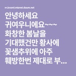 안녕하세요 귀여우니에요~~~ 화창한 봄날을 기대했건만 황사에... 다녀왔답니다 대딩 3년차 울 예비 나이팅게일… | Cooking, Recipes, Daum