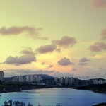 2012.07.30  수원 이의초 옥상 | 수원