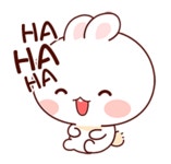 Pin on ･ﾟ*:✼ 해피 버니 써니 ✼:*ﾟ