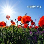 [ 미뤄왔던 안부 ] - 2020