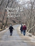 인생의 뒤안 길 - 2022 | 길