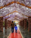 What a lovely shot of Ab-o Atash park entrance, Tehran, IRAN | surfingpersia.com | 건물