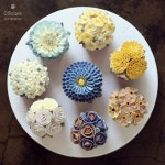 올리케이크 Ollicake (@ollicake) | Instagram photos and videos | 쿠키
