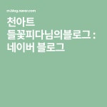 천아트 들꽃피다님의블로그 : 네이버 블로그 | 블로그, 천