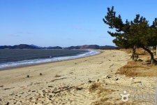 Jeungdo Island [A Slow City] (전남 신안 증도 [슬로시티])