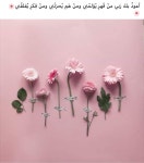 꽃에 있는 woosun Hwang님의 핀 | 핑크, 꽃, 식물