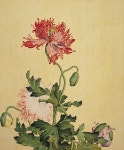 「수묵화」おしゃれまとめの人気アイデア｜Pinterest｜에스더 동 | 植物のスケッチ, アートのアイデア, 中国の芸術