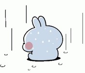 Akirambow Spoiled Rabbit Sticker - Akirambow Spoiled Rabbit Rain - Discover & Share GIFs in 2022 | Cute cat gif, Cat gif, Rabbit