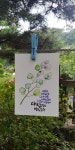 부천캘리/중동캘리/부천수채캘리/중동수채캘리/부평수채캘리/하남수채캘리/예쁜캘리/캘리엽서/성경엽서캘리/ | 손글씨, 작은 그림, 칼리그래피 아트