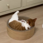 엣지있게 발 한쪽 빼놓고 자는 남자🦶🏻 | Dog bowls, Instagram posts, Instagram