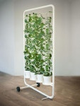 regardsetmaisons: DIY et Créations | 실내정원, 정원 아이디어, 정원 가꾸기