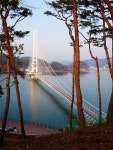 예당 저수지 출렁다리·황금나무, 훌륭 | 여행, 자연, 물