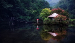 Summer.... - 일일레져 | Landscape photography, Landscape pictures, Beautiful landscapes