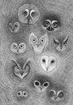 Designersgotoheaven.com - Owls by Orkacollective.  (via Design Work Life) | 새, 동물, 그림
