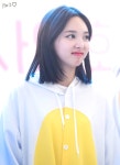 오늘의유머 - 토끼나연이 외부이미지 | Nayeon, Korean beauty girls, Nayeon twice
