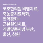 코호한의원 비염치료, 축농증치료특화, 면역광화+ 근본원인치료, 개별맞춤처방 부산, 울산, 창원 | 웹 브라우저, 마케팅