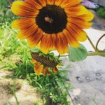 #꽃#센터피스#리스#꽃꽂이수업#웨딩플라워#플라워디자인#기업강의#플라워강의#원데이클래스#일상#데일리#위클리... 