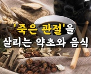 죽은 관절을 살리는 약초와 음식들 - 2020 | 건강에 좋은 음식, 약초, 위염