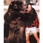 Bear loves man | 동물
