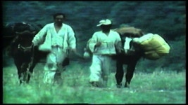 199TV문학관 메밀꽃필무렵 | 카우보이