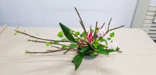 다화에 있는 강성자님의 핀(이미지 포함)