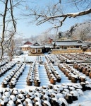 Old house,winter,South Korea 논산 명재고택