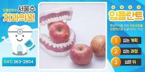 서울수치과 : 네이버 | 브릿지, 공휴일