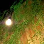 * Be My Guest에 있는 Lee doyoon님의 핀(이미지 포함)