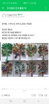 노인미술에 있는 난희 정님의 핀 - 2020