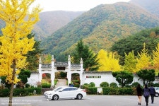 [경주 가볼만한 곳]은행나무가 아름다운 경주 용담정(동학 발상지)