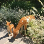 [New] The 10 Best Garden Ideas Today (with Pictures) -  자연에서 행복찾기 #유니스의정원 #플랜테리어 #그린인테리어 #홈가드닝... 