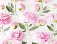 꽃작업에 있는 Jiyeon Kim님의 핀