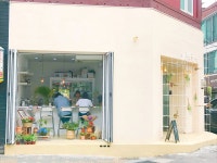 서울 마포구 망원동 | Korean beauty store, Korean beauty, Beauty store