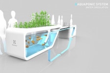 Thoughtful aquaponic system | 수족관