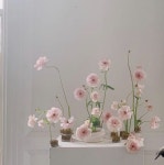 Pin by 경민 모 on 빠른 저장 in 2022 | Dried flowers crafts, Flower crafts, Dried flowers