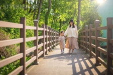 빠른 저장에 있는 핀