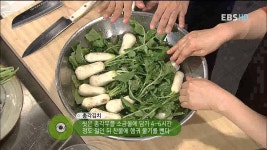 최고의 요리 비결 - 박경신, 총각김치, 굴깍두기_#001 | Food, Vegetables, Celery