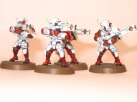 Warhammer 40k 타우에 있는 진현 주님의 핀
