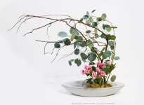 Pin by 이혜영 on 꽃 | Ikebana, Flower arrangements, Floral arrangements