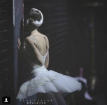 Colección backstage de Alex Tsiler (Instagram) | 발레