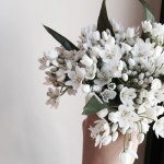 629 отметок «Нравится», 2 комментариев — 라플로르 ・ 플로리스트 (@laflorflower) в Instagram: «코아니는 이렇게... 