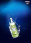 디아뜨디자인 :: 포스터디자인 | 포스터 디자인