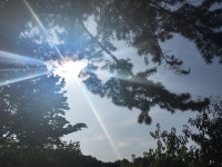 오월의 첫날☀️ 용지공원 ㅎ | 첫날