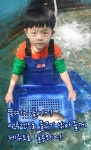 똑띠들어~! 봄이야 제주도올꺼지!?  길에 벚꽃 뿌려놨어.... 이쁘장하게  물고기도 소쿠리로 잡고 놀자공!   #우리닷컴 #공익광고 | 공익광고, 벚꽃